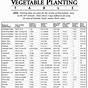 How Far Apart To Plant Vegetables Chart