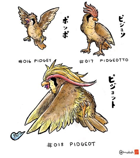 Pokemon Pidgey Evolution Chart