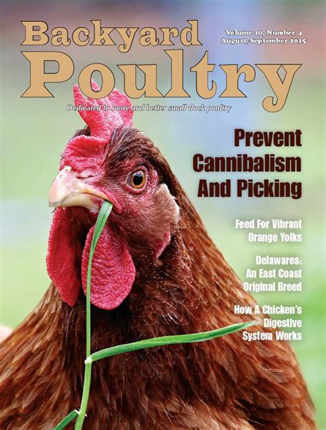I like backyard poultry and subscribe to it.but i have been buying one at tractor supply called practical poultry and i like it as well.it is published in great britton. Backyard Poultry Magazine - 1 year subscription | Backyard ...