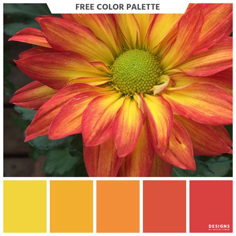Colorful flowers, Color palette, Color