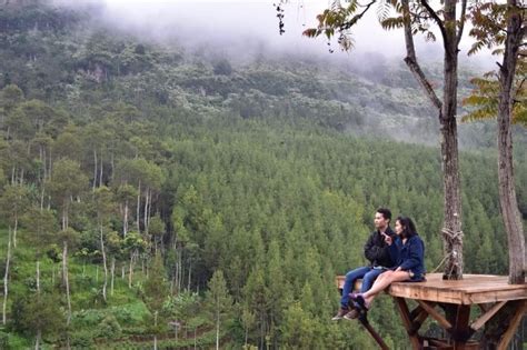 Tempat makan di bandung rekomendasi buka puasa bersama bareng pacar restoran yang murah kuliner keluarga favorit enak cocok untuk jajanan romantis timur selatan berbuka lesehan asyik asik buat anak muda cafe recommend karaoke bulan dan kota yg nyaman recomended setiabudi seru. Hutan Pinus The Lodge Maribaya Saingi Popularitas Tebing ...