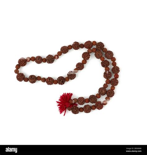 rudraksha prayer beads for meditation isolated on white background top view japa mala stock