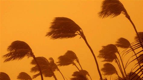 Tropical depression claudette could restrengthen into a tropical storm and bring gusty winds there. Tropical Storm Claudette brings rain, life-threatening ...