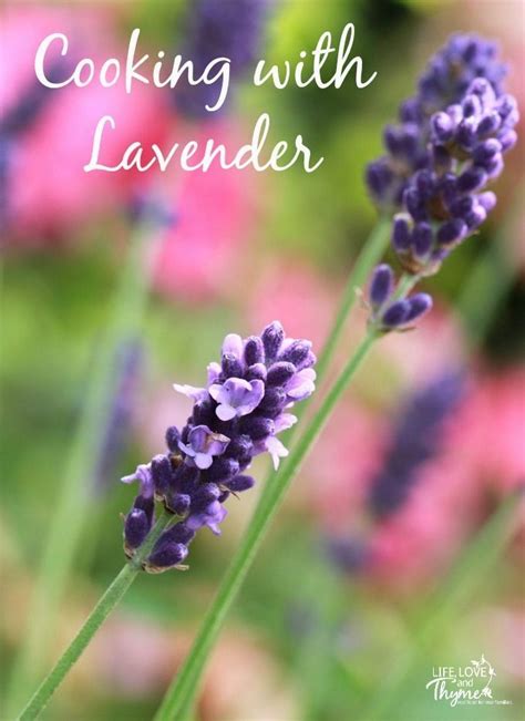 Cooking With Lavender Life Love And Thyme Lavender Recipes