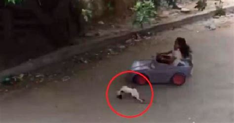 niña atropella gato con un carro de juguete actualidad los40 méxico