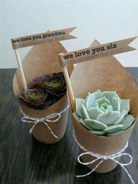 Pin By 380669010443 On Suculentas Succulent Party Favors Plant