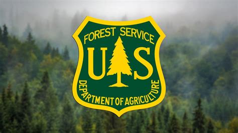 Us Forest Service Closes Developed Recreation Sites On Ca National