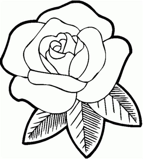Easy flower coloring pages are a fun way for kids of all ages to develop creativity, focus, motor skills and color recognition. Coloring Pages Of Rose Flowers | Rose coloring pages, Easy ...