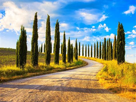 6 Of The Most Epic Drives In The World Tuscany Landscape Cypress