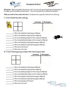 Some of the worksheets displayed are punnett squares answer key, aa ee ii mm bb ff jj nn cc gg kk oo dd hh ll pp, punnett squares work, practice with monohybrid punnett squares, dihybrid. Punnett Squares | Teaching biology, Science biology, Science lessons