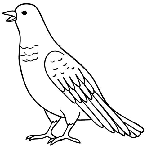 Sketsa Gambar Burung Merpati Untuk Kolase Contoh Sket