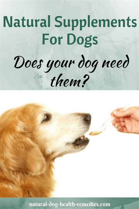 Maybe you would like to learn more about one of these? Pin on Dog Food Supplements