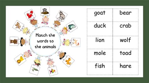 4 Letter Animals Word Picture Matching Teaching Resources