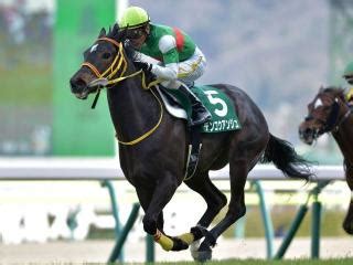 Manage your video collection and share your thoughts. 競馬初心者必見☆馬券予想🔥〜福島牝馬ステークス ...