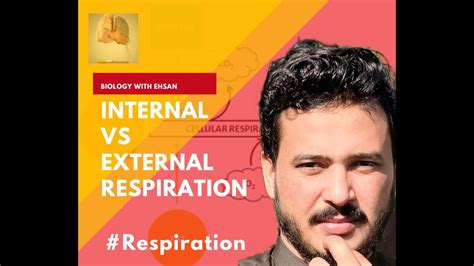 Difference Between Internal And External Respiration Biologyclass YouTube