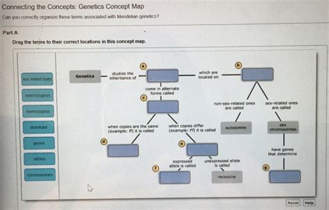 Connecting The Concepts Genetics Concept Map Map Vector