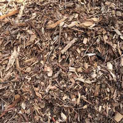 It retains moisture, which they like, and it insulates them from temperature extremes. Bark and Mulch Suppliers in Brisbane | Apollo Landscaping