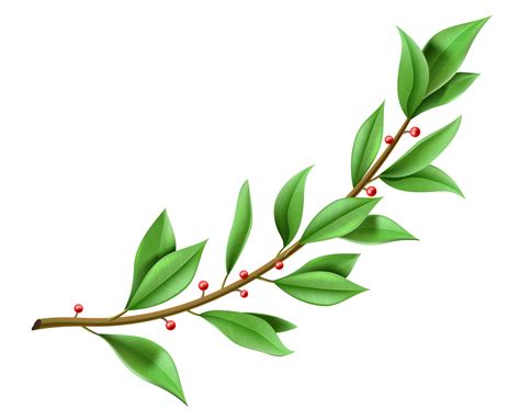 Tree Twig Laurel Wreath With Green Leaves 2522780 Vector Art At Vecteezy