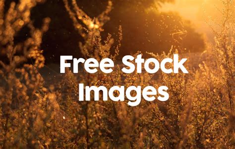 6 Free Commercial Use Stock Photography Images Free Stock Images