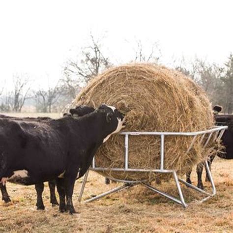 Tarters Galvanized Cradle Bale Livestock Feeder Bear River Valley Co Op