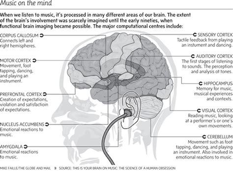 Kim Tinuviel Stimulate Your Brain Learn Music Theory