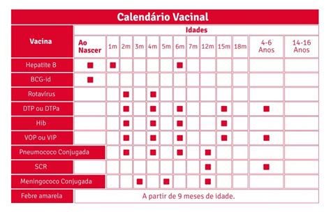 A Importância Da Vacina Nos Dias Atuais