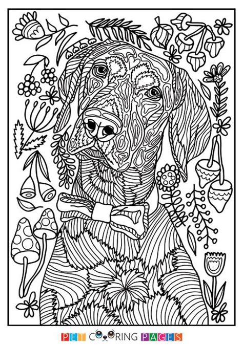 Download Free printable Pointer coloring page available for download. Simple and detailed versions for ...
