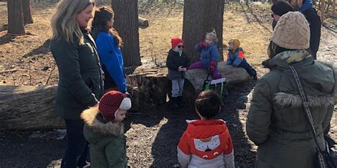 Jr Forest Explorers Celebration Of Light And Sunshine