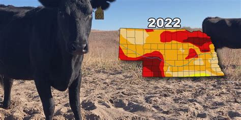 Drought Dry Conditions Impacting Nebraska Ranchers