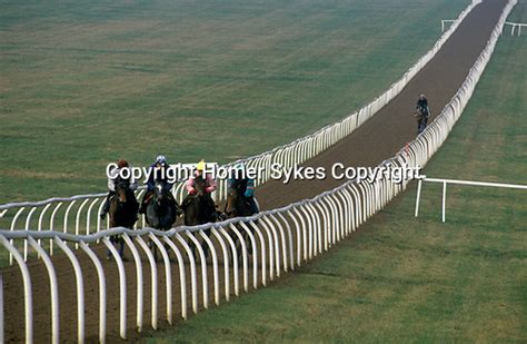 Racing Horses Warren Hill Newmarket Heath Homer Sykes