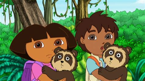Watch Go Diego Go Season 1 Episode 15 Chito And Rita The Spectacled