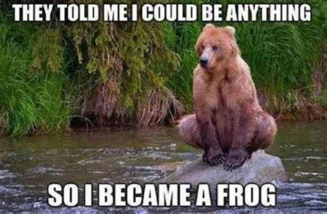 So he stared at the sand until it melted into 2 ton blocks. Dankest Animal Memes Of All Times