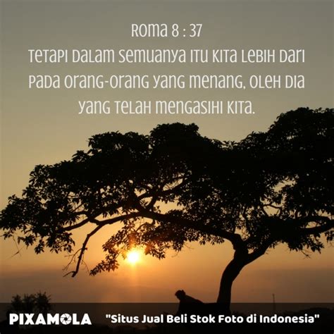 Kata kata bijak kepercayaan dalam hubungan. Kata Kata Romantis Menyambut Pagi - Katapos