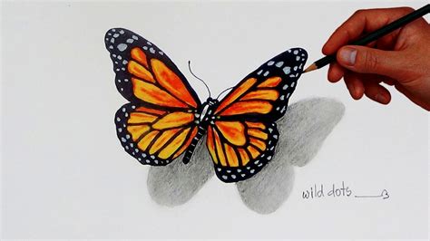 Simple Monarch Butterfly Drawing Learn How To Draw A Monarch