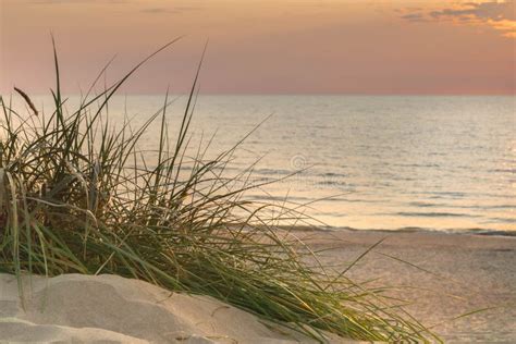 Sunset In Sandy Beach With Sand Dunes And Grass At Sea Coast Stock