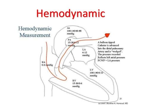 Hemodynamic