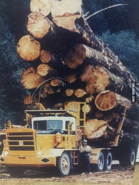 9gag The Old Days Of Logging In Canada Yes This Picture Is Real