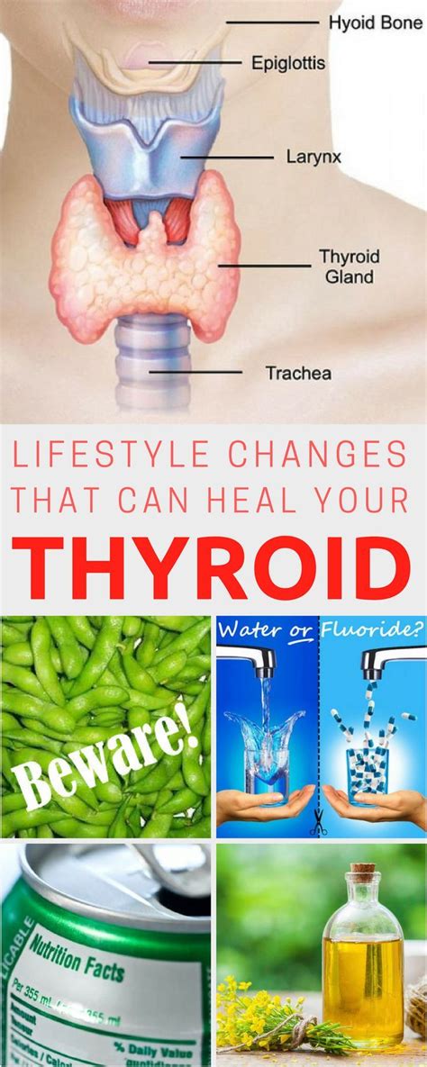 Lifestyle Changes That Can Heal Your Thyroid Hypothyroidism Natural