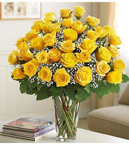 Ultimate Elegance Long Stem Yellow Roses Send To The City Of Happy