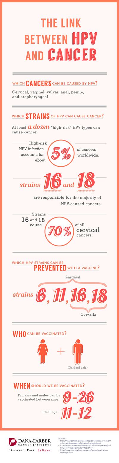 The Link Between Hpv And Cancer Infographic Dana Farber Cancer Institute