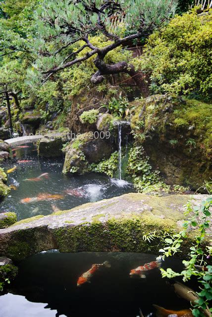 Moss Covered Stone Bridge In Japanese Garden Over Koi Carp Pond With