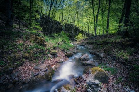 Fonds Decran Pierres Forêts Arménie Ruisseau Bryophyta Nature