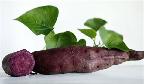 All Purple Sweet Potato Purple Sweet Potatoes Sweet Potato Slips Sweet Potato