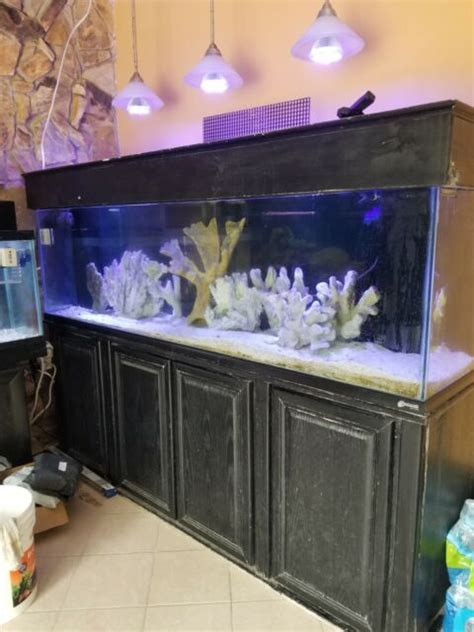 210 Gallons Salt Water Fish Tank With Stand Ebay