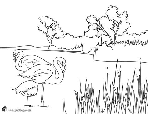 Colorear Paisajes Dibujos De Naturales Para
