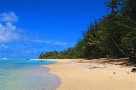 The Independent Traveler S Guide To Rarotonga X Days In Y