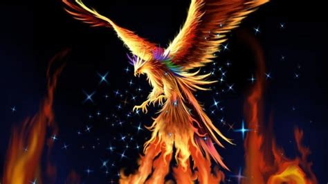 Fire Phoenix Wallpaper Hd