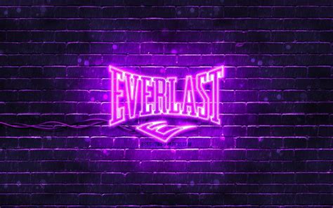 Download Wallpapers Everlast Violet Logo K Violet Brickwall Everlast Logo Brands Everlast