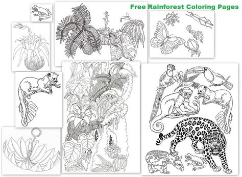 Rainforest Resources And Printables Homeschool Den