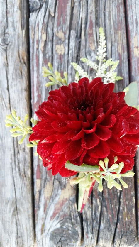 Lovely Grooms Boutonniere Red Dahlia Seeded Euc And Astilbe Accents Design By Lbruskotter